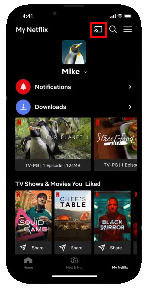 cast netflix from phone to tv