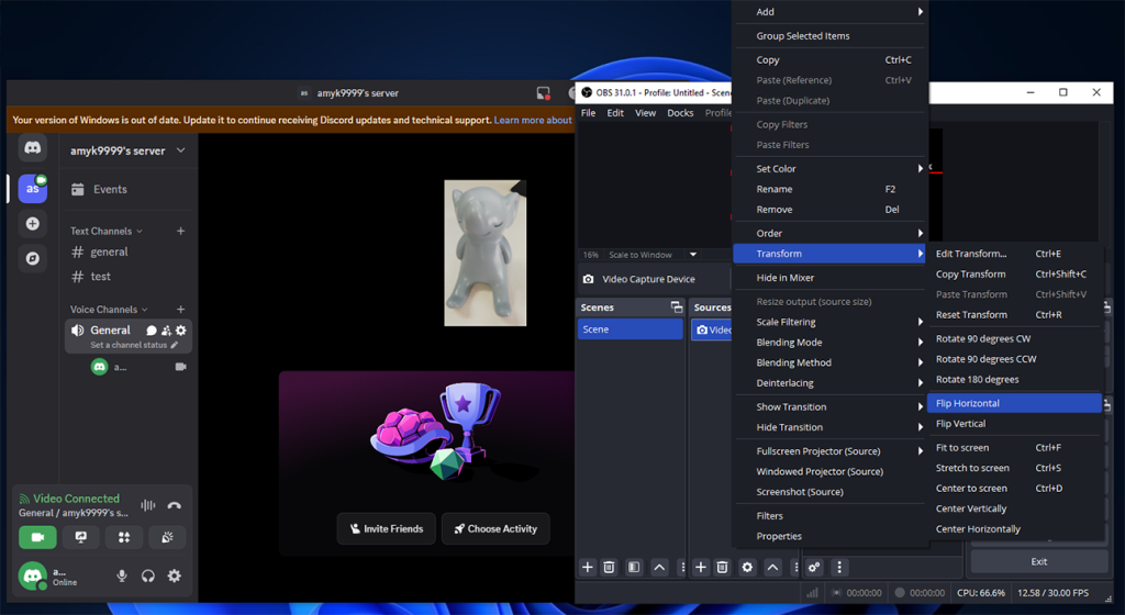 discord mirror camera