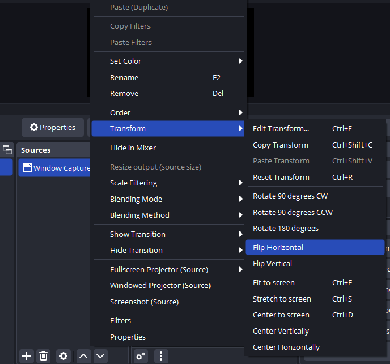 how to flip discord camera