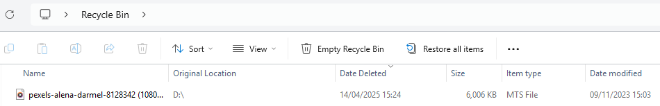 recycle-bin-mts-recovery