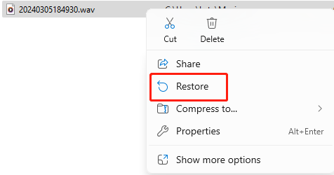 recycle-bin-recover-wav-file-2