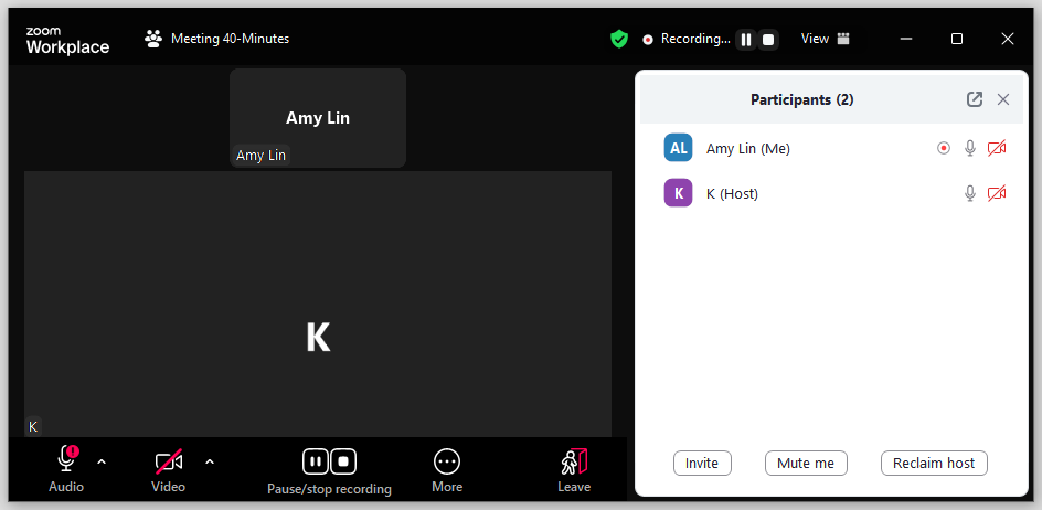 does zoom notify screen recording