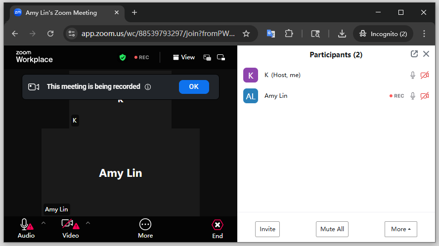 does zoom notify screen recording