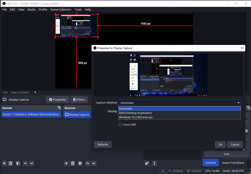 obs screen share