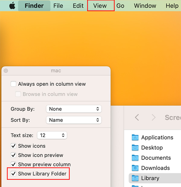 show library folder