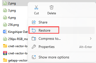 recycle-bin-recover-files-after-windows-update