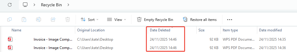 recycle-bin-recover-dji-videos